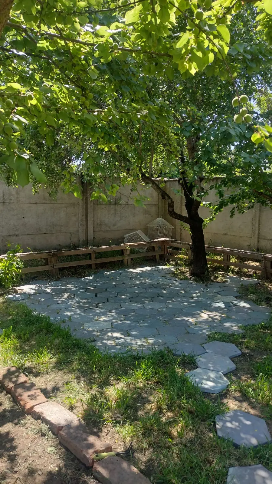 Terraza con Palmetas Real